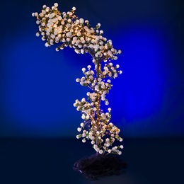 11 ft. x 7 ft. Love in Bloom Lighted Floral Half Arch Kit