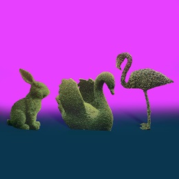 Garden Friends Animal Topiaries Kit (set of 3)