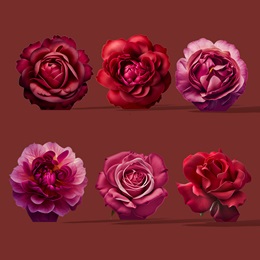 Small Roses Are Roses Kit (set of 6)