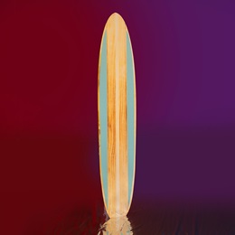 Ride the Waves Surfboard Kit