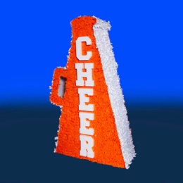 6 ft. 3 in. x 44 in. Bring the Noise Megaphone Kit