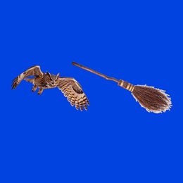 Feathers and Flight Owl and Broom Cutouts Kit