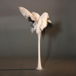 White Fancy Feathers Vase Kit