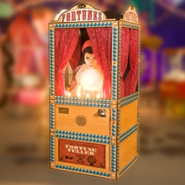 7 ft. x 36 in. Your Future Looks Bright Fortune Teller Kit