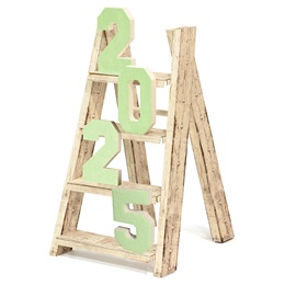 Ladder Decoration Prop With Year Kit