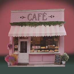 11 ft. x 13 ft. 2 in. Paris Café Backdrop Kit