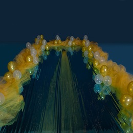 Pathway to Paris