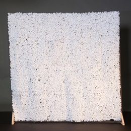 Milky White Flower Wall Kit