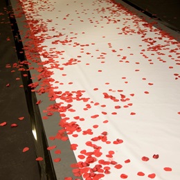 Roses and Romance Pathway Kit