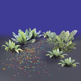 Botanical Boulevard Confetti and Plants Pathway Kit