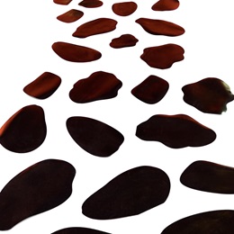 Steps of Sable Pathway Kit
