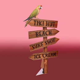 56 in. high x 29 in. Pointing the Way Beach Signs Kit