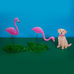 Feathered and Furry Friends Cutouts Kit