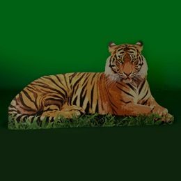 Terrifying Tiger Kit