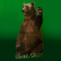 Your Bear Necessity Kit
