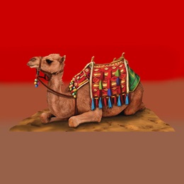 Egyptian Attire Sitting Camel Kit