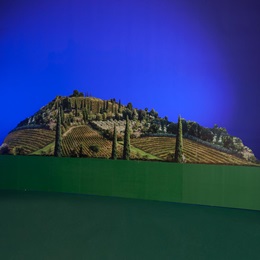 Tuscan Vineyard Kit