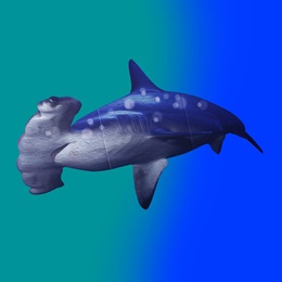 Hammerhead Shark Cutout Kit