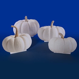Enchanted Pumpkin Patch Cutouts Kit (set of 4)