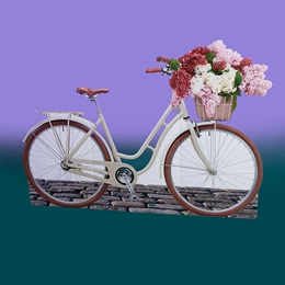 Vintage Bicycle Stand-up Kit