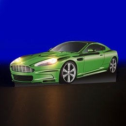 46 in. x 9 ft. 9 in. Green High Class Car Stand-up Kit