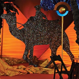 Sand Rider Camel Silhouette Kit