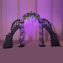 Elite Entrance Arch and Staircases Kit