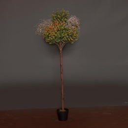 Jubilant Green Topiary Tree Kit