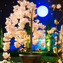 Pink Blossom Garden Display Kit (set of 2)