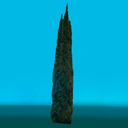 Tall Arborvitae Kit
