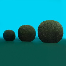 Round Garden Bushes Kit (set of 3)