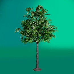 Large Leafy Ficus Tree Kit