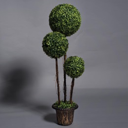 Triple Topiary Kit