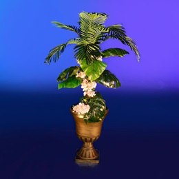 Greenery in the Garden Planter Kit