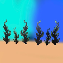 Seabed Seaweed Kit (set of 6)