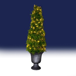 Pristine Green Potted Tree Kit