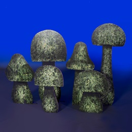Green Mushroom Stand-ups Kit