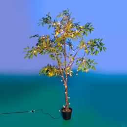Small Lighted Ficus Tree Kit
