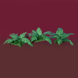 18 in. x 48 in. Tropical Plants Kit (set of 3)