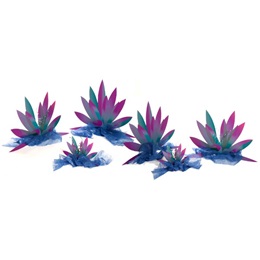 Spike Tear Plants Kit
