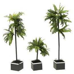 Have the Time of Your Life Trees Kit (set of 3)