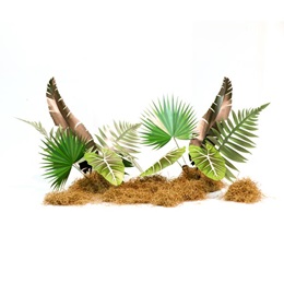 Jungle Safari Foliage Plants Kit (set of 2)