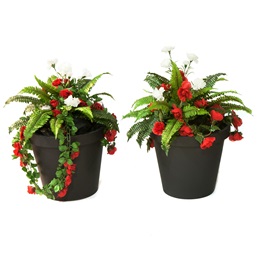 Prosperous Bloomin' Planters Kit (set of 2)
