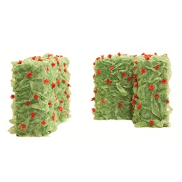 Only a Dream Hedges Kit (set of 2)