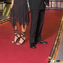Walk the Red Carpet Kit