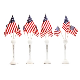 Patriotic Pride Flag Stands Kit (set of 4)