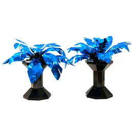 Forever in Paradise Palm Plants Kit (set of 2)