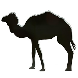 Journey Through the Desert Camel Kit