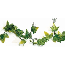 Ivy Garland