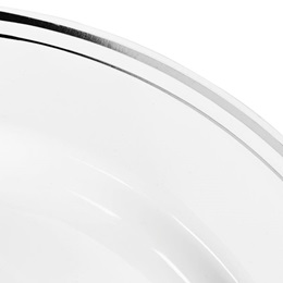 Silver Ring Dinner Plates